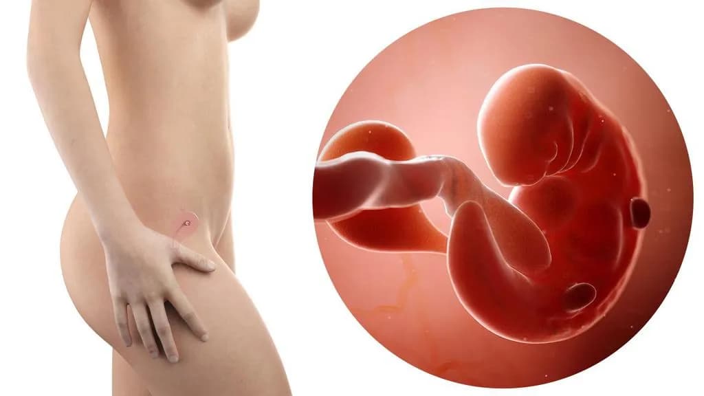 Objawy w 6 tygodniu ciąży - co może zaskoczyć przyszłe mamy?